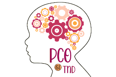 logo pco tnd 61 mini